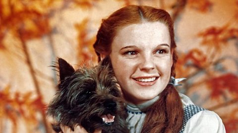 Judy Garland as Dorothy and dog Toto