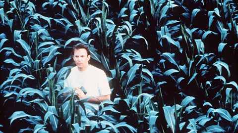 Kevin Costner in a field of corn