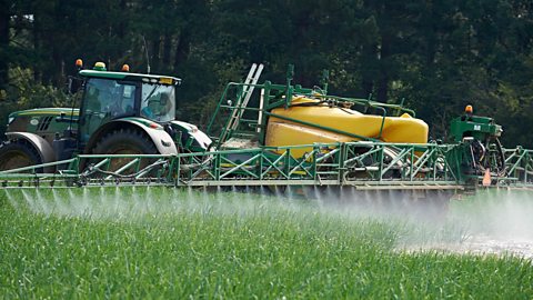 A tractor with a yellow tank is spraying liquid fertilizer or pesticides over a green field of crops.