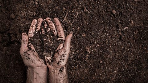 A field of soil.