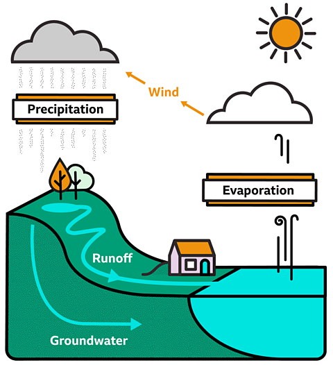 A diagram showing the water cycle. water vapour rising from the ocean, condensing to form clouds, wind carrying clouds over land and precipitation falling, before collecting in lakes and rivers, then returned to the sea. 