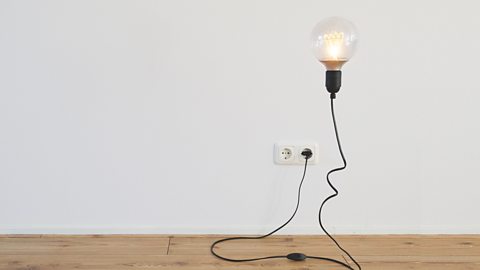 A lamp lugged into a socket.