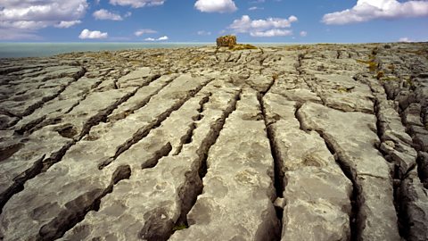 Limestone landscape