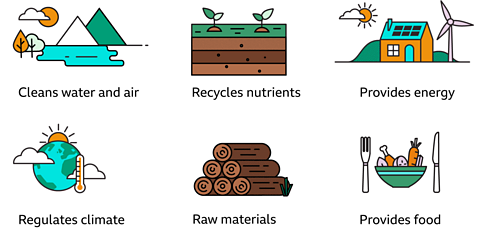 Graphic showing cleans water and air, recycles nutrients, provides energy, regulates climate, raw materials provides food