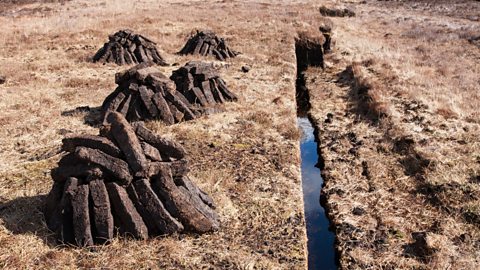 Stacks of peat cuttings