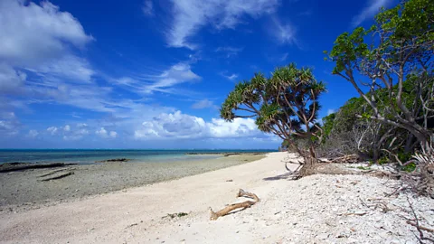hypergurl/Getty Images Surrounded by a vast turquoise lagoon, Lady Musgrave Island is one of the reef's best-kept secrets (Credit: hypergurl/Getty Images)
