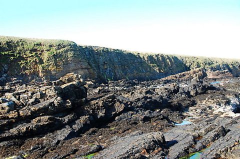 A wave-cut platform near Wife's Geo 