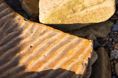 Fossilised beach ripples in sandstone 