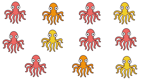 11 octopuses.