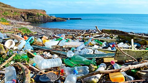 Plastic bottles and other garbage washed up on a beach in the county of cork, Ireland