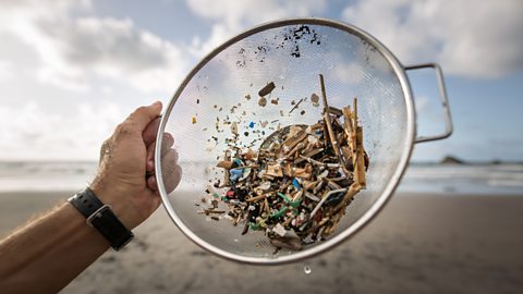 A volunteer carries out a collection of microplastics and mesoplastic debris to clean the Almaciga Beach, on the north coast of the Canary Island of Tenerife.