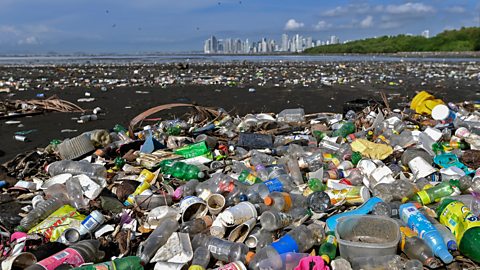 Plastic waste at the beach of Costa del Este in Panama City, April 2021.