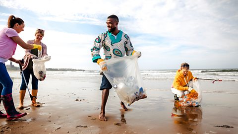 Three women and a man working together to collect rubbish off a beach.