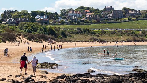 People enjoying a sunny day at the beach. Some people are paddle boarding in the sea. Others are walking along the sand.