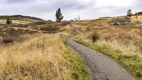 Paul Stafford Schiehallion has no nearby peaks exerting their own force, which made it the perfect candidate for the experiment (Credit: Paul Stafford)