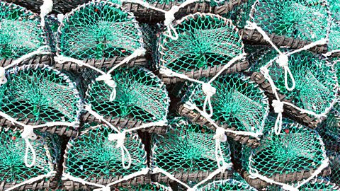 Piles of new lobster pots on Holy Island, Lindisfarne, Northumberland, England.