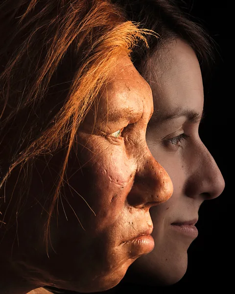 Joe McNally/Getty Images Many archaeologists now believe that Neanderthals were not so different from our own species (Credit: Joe McNally/Getty Images)