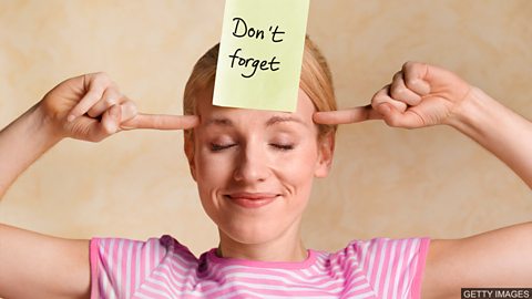 Why we forget 我们为什么会忘事？