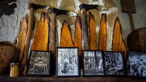 Susana Girón Today, many families in the region proudly display old pine resin extracting tools and photographs of their relatives "bleeding" the trees (Credit: Susana Girón)