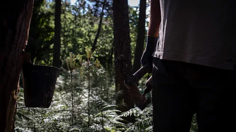 Susana Girón In Castilla y León, an estimated 80% of towns in 14 local provinces are considered "at risk of extinction" due to urban migration
