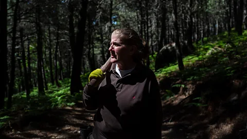 Susana Girón When Isabel Jiménez started extracting resin three years ago, men thought she'd only last a few weeks (Credit: Susana Girón)