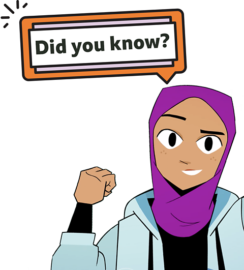 Fatima saying did you know