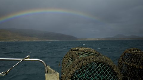 Lobster pots on a boat out in the sea.