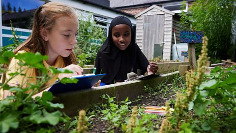 How to teach children about climate change