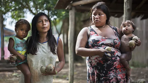 Getty Images Indigenous communities have been found to be powerful guardians of some of the world's most biodiverse landscapes (Credit: Getty Images)