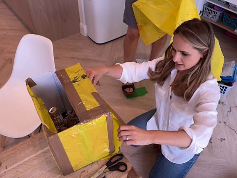 A woman makes a hedgehog house from a cardboard box.