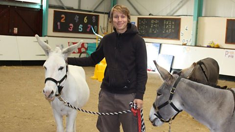 Focus image: Ben Faulks at the donkey sanctuary