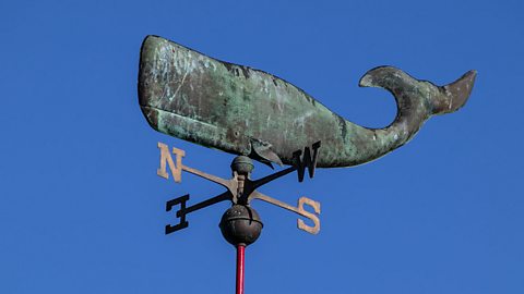 Weathervane shaped like a whale showing the directions north, east, south and west