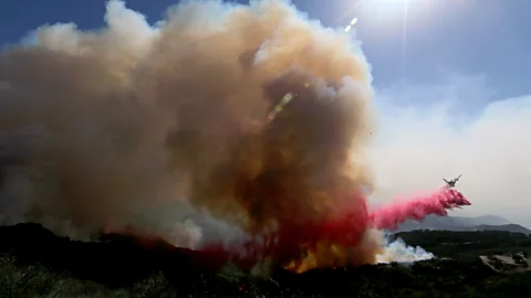 Luis Sinco/Getty Images While forests can help to pull carbon dioxide out of the atmosphere and lock it away, forest fires can undo that sequestration in moments (Credit: Luis Sinco/Getty Images)