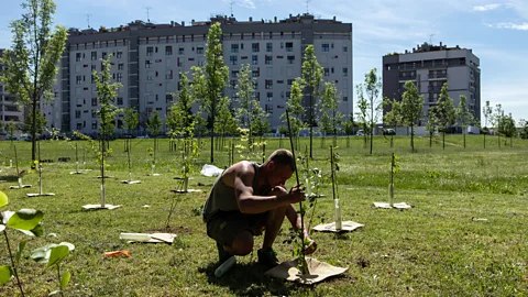 Emanuele Cremaschi/Getty Images Reaching net zero will require a balance of carbon emission reductions and more carbon sinks such as forests (Credit: Emanuele Cremaschi/Getty Images)