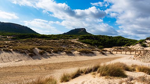 Sand dunes with grass beneath a blue sky 