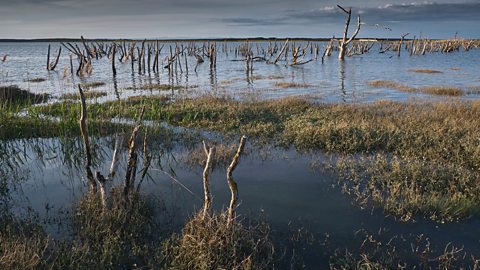 Flooded land due to managed retreat