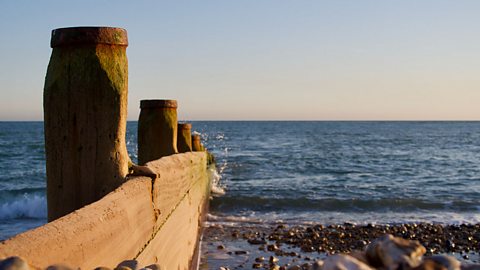 Wooden pillars that form groynes which lead in to the sea