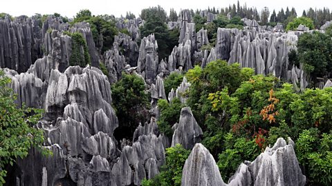 Stone forest, China