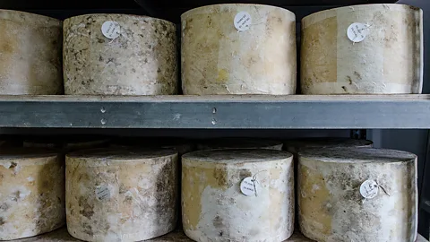 Cheddar Gorge Cheese Company The worldwide replication of cheddaring is one reason cheddar doesn't have protected designation of origin status (Credit: Cheddar Gorge Cheese Company)