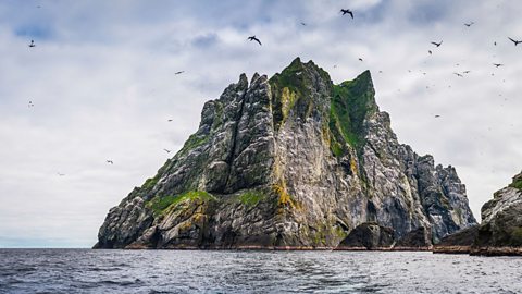 Clouds of seabirds, gannets, fulmars and skuas flying around the cliffs of Boreray, one of the islands in the archipelago of St. Kilda