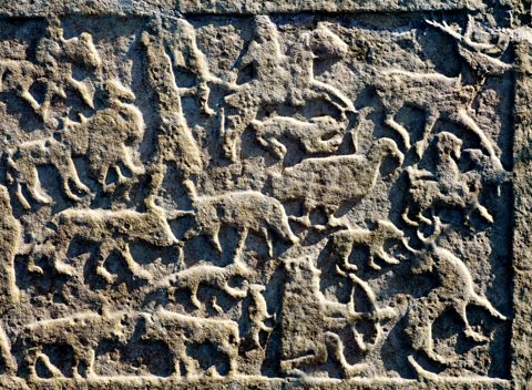 Hunting animal scene on carved Celtic Pictish stone, Shandwick, Easter Ross.