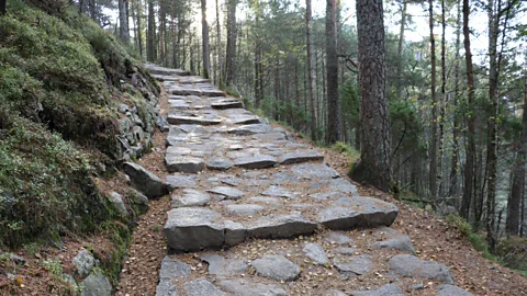 Mike MacEacheran The stone stairway to Preikestolen was built by Nepalese Sherpas, who are experts at working in difficult mountains conditions (Credit: Mike MacEacheran)