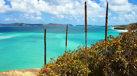 Hypergurl/Getty Images Around 70 traditional custodian groups have lived alongside the Great Barrier Reef for tens of thousands of years (Credit: Hypergurl/Getty Images)