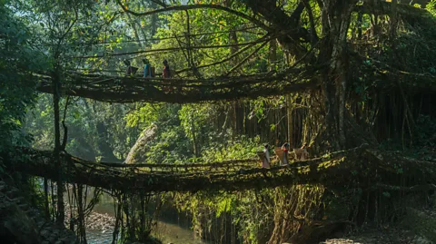Alamy The Double Decker Root Bridge of Meghalaya is now famous, drawing tourists from around the world (Credit: Alamy)