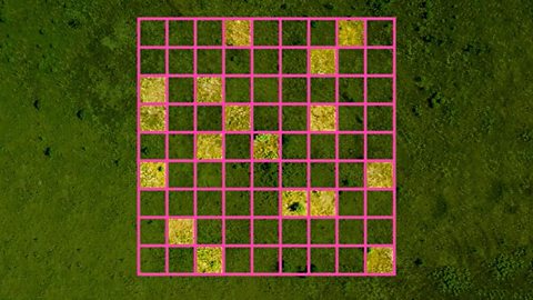 A photo showing a grid with random squares coloured in