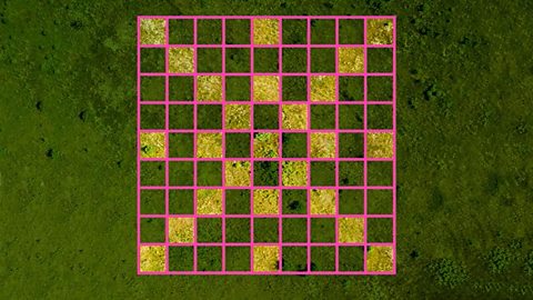 A photo showing a grid with a symmetrical pattern of squares coloured in