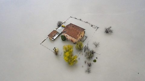 Environmental Photographer of the Year 2021 winners revealed