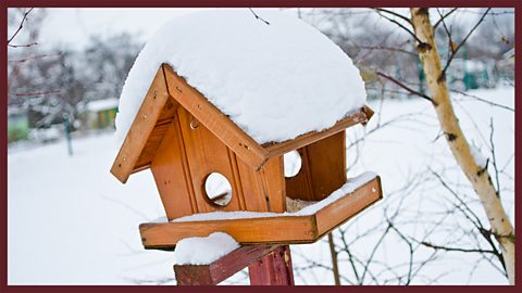 Focus image: a bird table in winter 