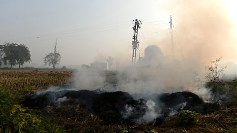 Air pollution in India - BBC News