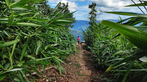Satarupa Paul A longer tune is used to call people out in the fields, while a shorter version is used at home (Credit: Satarupa Paul)